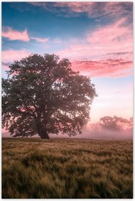 Poszterek 80x120 Candy tájkép Köd