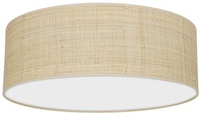 Mennyezeti lámpa MARSHALL 3xE27/60W/230V