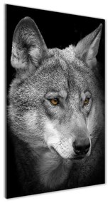 Üvegkép Portré a farkas osv-103311727