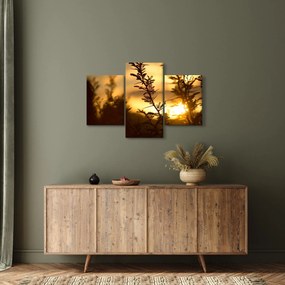 Kép - A nap lenyugszik a fák mögött (90x60 cm)