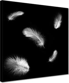 Vászonkép 30x30 Finom toll doboz