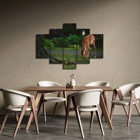 Gida képe (150x105 cm)