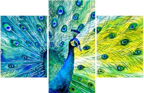 Páva képe (90x60 cm)