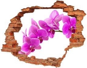 Fali matrica lyuk a falban Rózsaszín orchidea nd-c-67691978