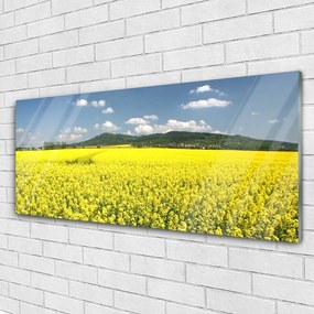 Fali üvegkép Mező Mező Természet repce 125x50 cm