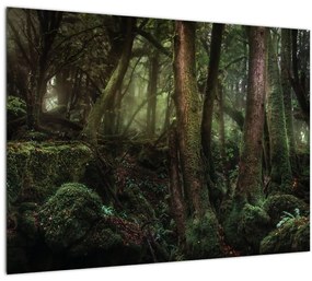 Kép - Titokzatos erdő (üvegen) (70x50 cm)