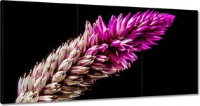 Festmények 120x60 Lila