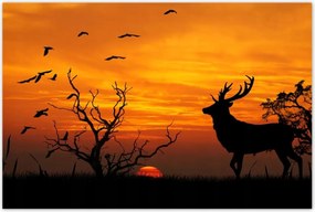Poszterek 120x80 Szarvas és naplemente