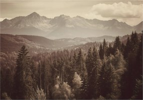 Fotótapéta Erdő Hegyek Táj Hálószoba Nappali Tapéta Flizelina 350x250