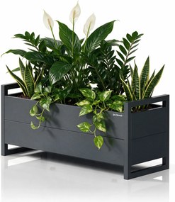 Alacsony fém virágcserép-burkolat, antracit, 1000x430x380 mm: MARGARET