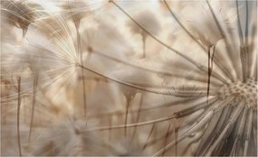 Dekoratív fotótapéta Hálószobába Finom pitypangok 416x254