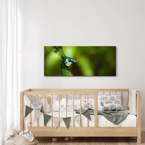 Páva képe (120x50 cm)