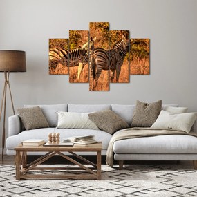Zebrák képe (150x105 cm)