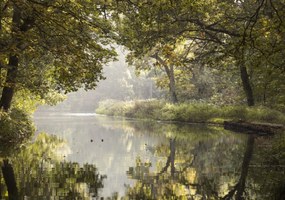 Poszter 100x70cm Basingstoke csatorna 3, Assaf Frank