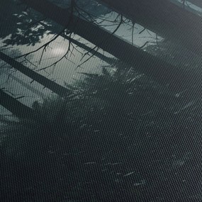 Kép - Páfrányok a holdfényben (120x50 cm)
