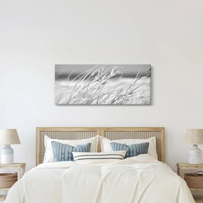 Kép - Strandfű (120x50 cm)