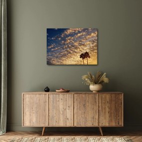 Kép - Pálmafák a felhők között (70x50 cm)