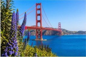 Kép - Golden Gate híd, San Francisco (90x60 cm)