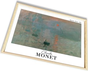 4262AHSMONET-008