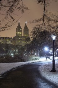 Poszter 53x81cm ĂsvĂ©ny a központi parkon ĂĄt, Assaf Frank