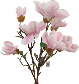 Magnólia csokor gumírozott világos rózsaszín (sp)