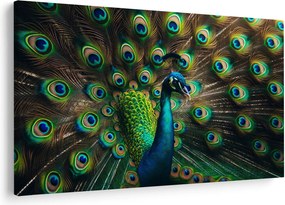 Kép – Pávatoll (90x60 cm)