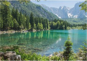 Fotótapéta Flizelin Dekoratív Hálószoba Zöld tó 208x146