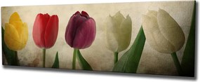 PC147 vászonkép, 30 x 80 cm