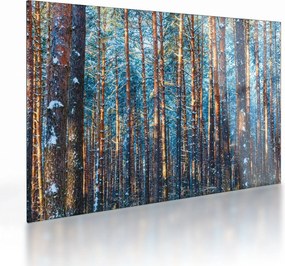 Kép - téli erdő (üvegen) (70x50 cm)