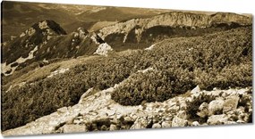 Képek 115x55 Tátra Lengyel hegyek Kilátás