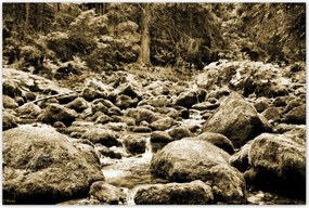 Poszterek 120x80 Tátra Lengyel hegyek Kilátás