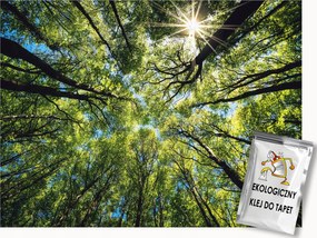 Fotótapéta Flizelina Természet Erdő Fák Zöld Koronák Égbolt 400x280 ragasztó