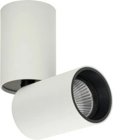 ITALUX CLN-88018-12W-L-3K CAMALI Hengeres Mennyezeti Lámpa LED IP20