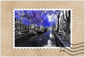 Poszterek 60x40 Búzavirág Amszterdam