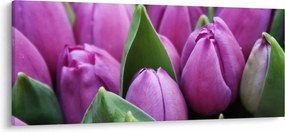 Kép - tulipánok (120x50 cm)
