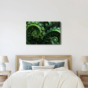 Kép - Spirálok (90x60 cm)
