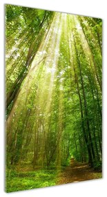Üvegkép nyomtatás Az út az erdőben osv-91261550