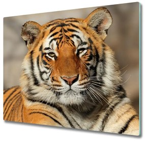 Üveg vágódeszka bengáli tigris 60x52 cm