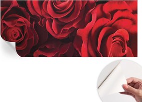 Dekoratív öntapadós fotótapéta Hálószobába Vörös rózsák 250x104 cm