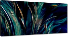 Vászonkép 115x55 Puha pávatollak