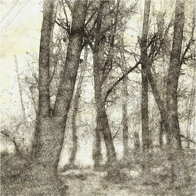 Fotótapéta Flizelin a ház szobájába 3D Erdei melankólia 250x250 Ragasztó