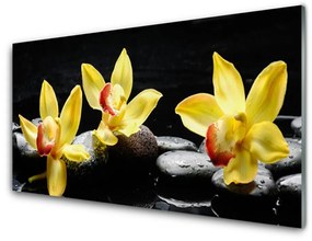 Fali üvegkép Virág orchidea növény 120x60cm 2 fogas