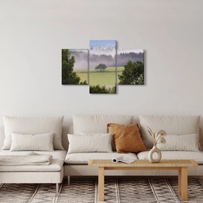 Egy kép a rétről egy fával (90x60 cm)