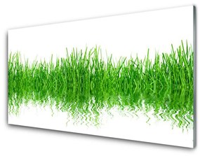 Üvegkép Grass Nature Plant 120x60cm 2 fogas