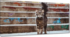 Vászonkép 120x60 Cica Cicák