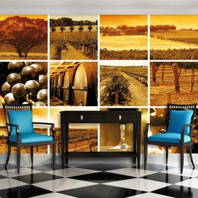 Fotótapéta - Szőlőmező - mozaik (152,5x104 cm)