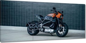 Képek 210x100 Harley Davidson Motorkerékpár