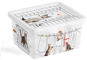 KIS Tárolódoboz C-BOX XXS 2l, cica