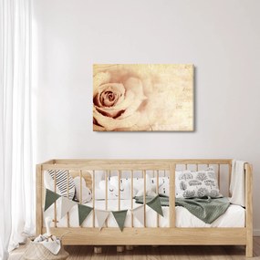 Kép - Rózsa virág szerelmeseknek (90x60 cm)