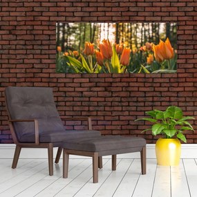 Narancssárga tulipán képe (120x50 cm)